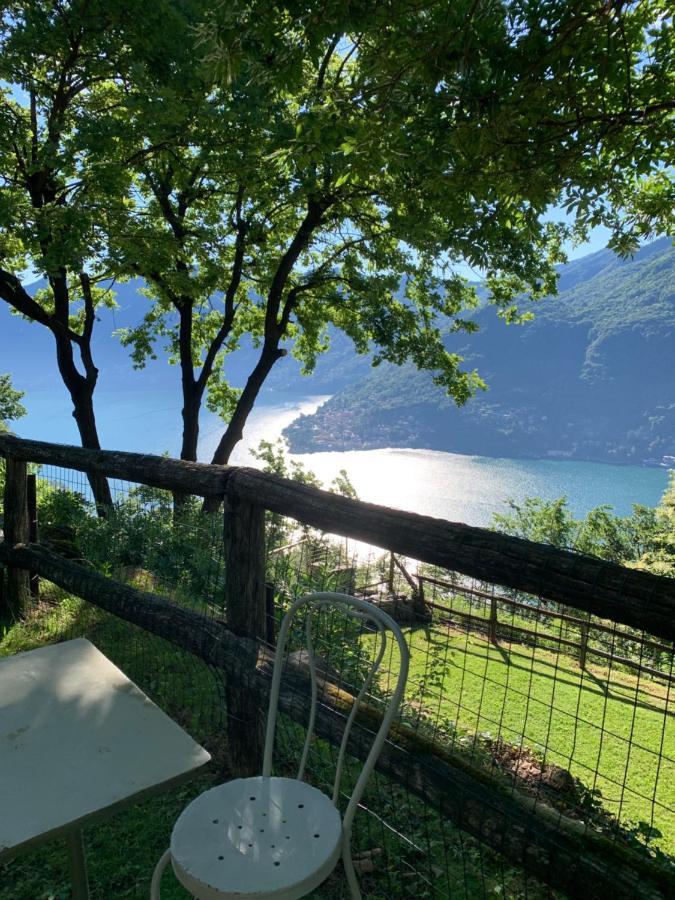 Il Riccio Appartamento Cernobbio Exterior foto